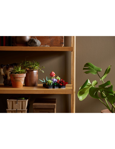 Sukulenty - ICONS™ LEGO 10309