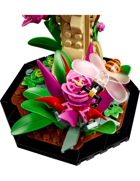 Sbírka hmyzu - Ideas LEGO 21342