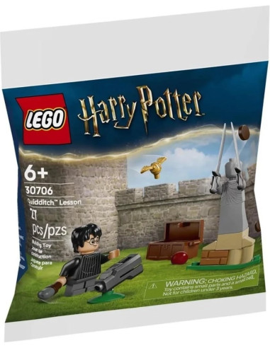 Quidditch Lesson - Harry Potter LEGO 30706