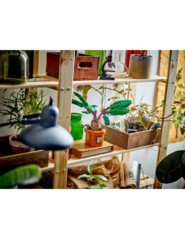 Mandragora - Harry Potter LEGO 76433