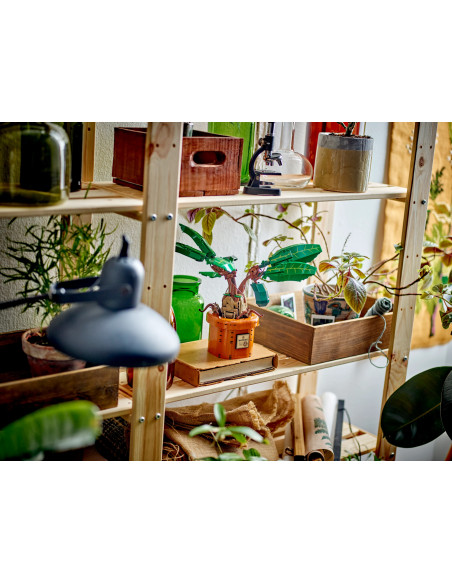 Mandragora - Harry Potter LEGO 76433