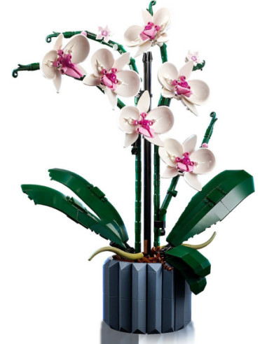 Orchidej - LEGO 10311