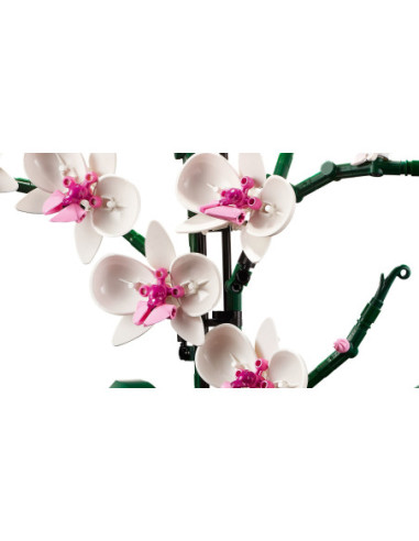 Orchidej - LEGO 10311