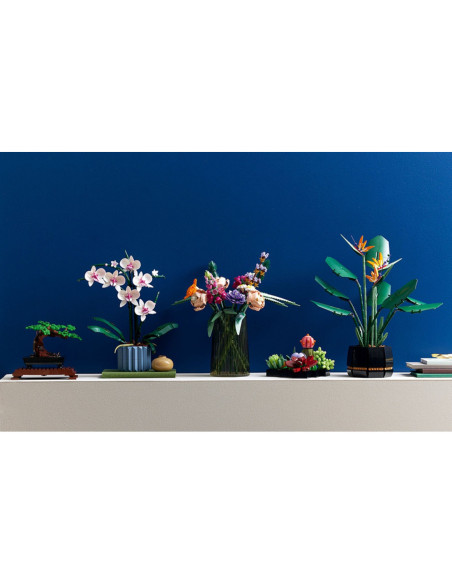 Orchidej - LEGO 10311